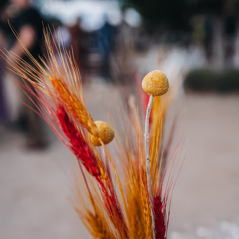 menestral-events-067-2252618-2